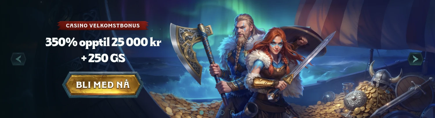 Promotional Banner